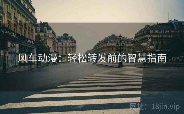 风车动漫：轻松转发前的智慧指南
