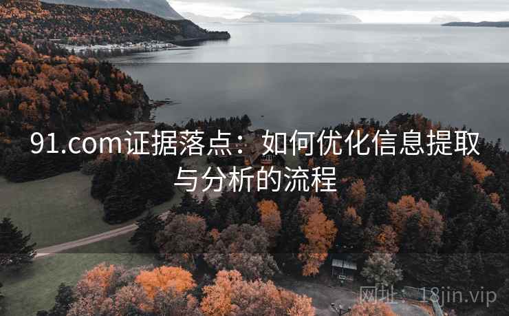 91.com证据落点：如何优化信息提取与分析的流程